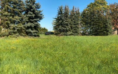 Objekte 21 80Ebfda0Baa5Cbf971630Ef3B1C0E576