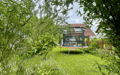 Objekte 3 Blick Von Gartenhütte