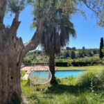 20250424_094902711_Ios