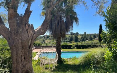 20250424_094902711_Ios