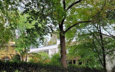 Objekte 13 Gartenansicht