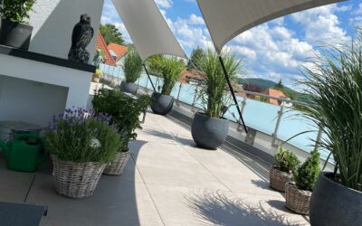 Sehr Großzügige Dachterrasse