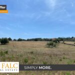 [Cover] Falc-Overlay-Image-%5Btime%5D.jpeg