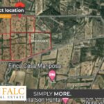 [Cover] Falc-Overlay-Image-%5Btime%5D.jpeg