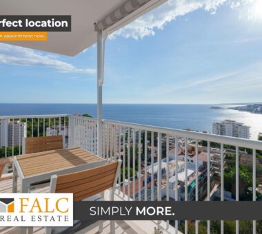 [Cover] Über Den Dächern Von Plama