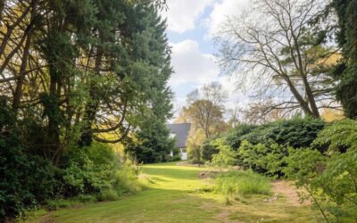 Viel Platz Zum Planen