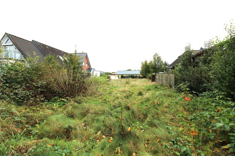 Grundstück von hinten