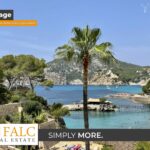 [Cover] Falc-Overlay-Image-[Time]