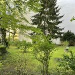 Blick Garten