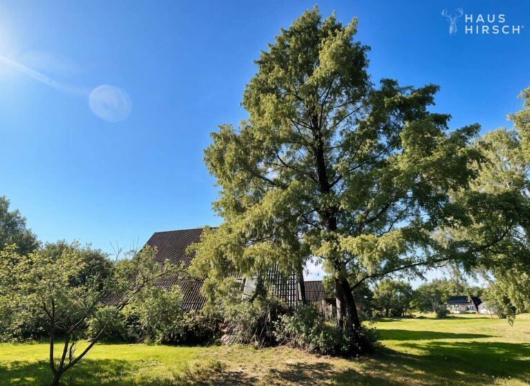 Parkartiges Grundstück