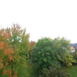 Ausblick