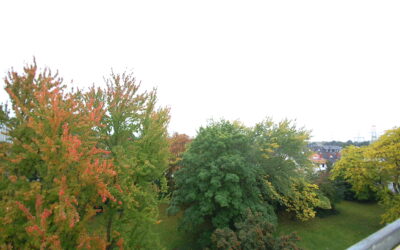 Objekte 7 Ausblick