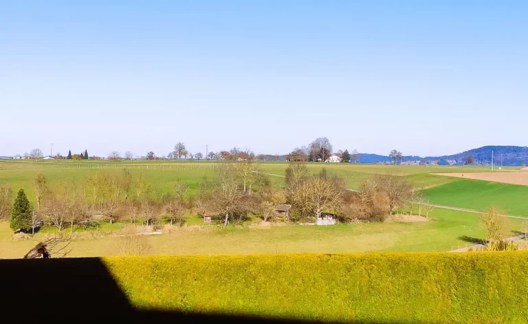 Ausblick
