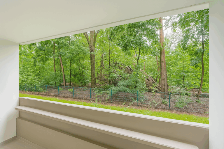 Ausblick Balkon