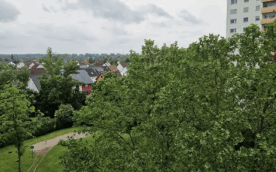 Blick / Weitblick