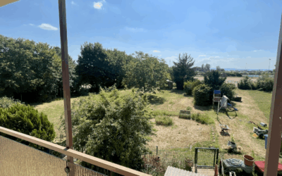 Blick Vom Balkon