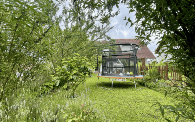 Blick Von Gartenhütte