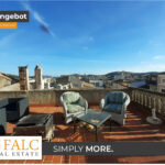 [Cover] Falc-Overlay-Image-%5Btime%5D.jpeg