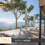 [Cover] Falc-Overlay-Image-%5Btime%5D.jpeg