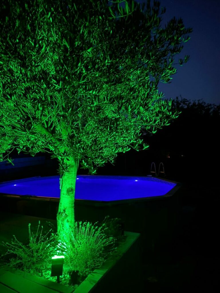 Garten mit Pool