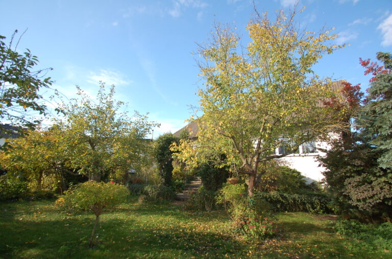 Gartenseite