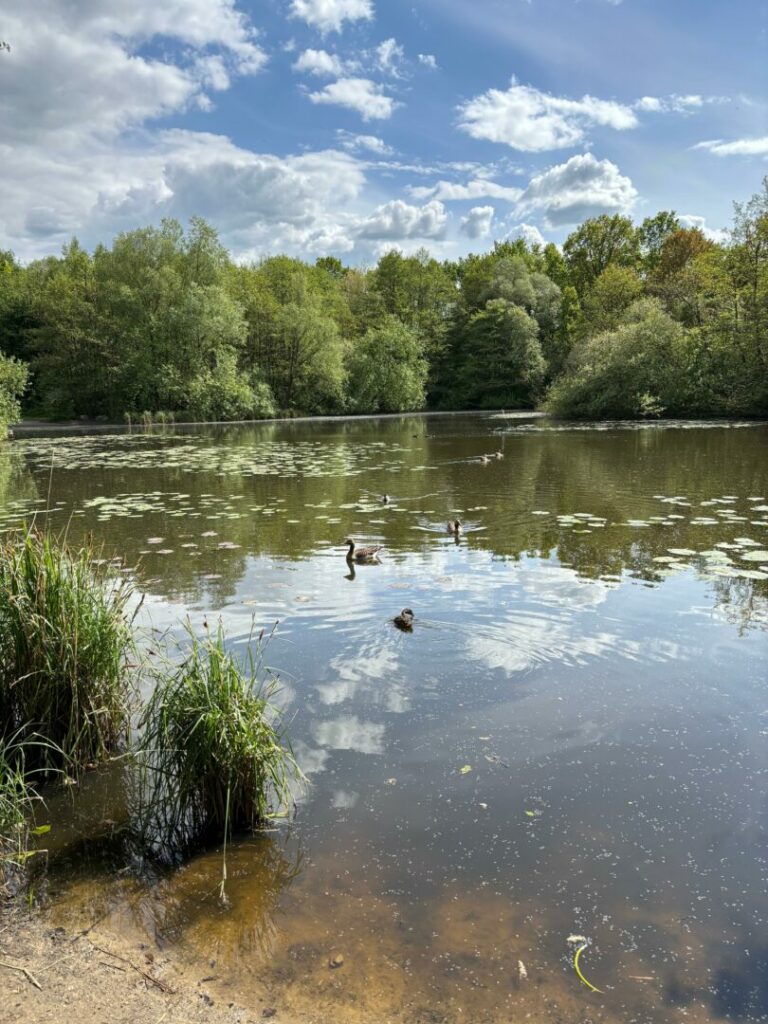 Der See vor der Tür