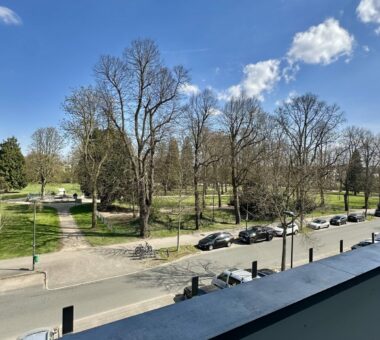 Ausblick