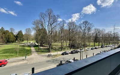 Ausblick