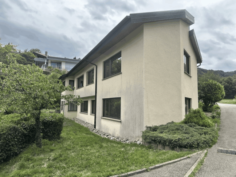 Große Fenster zum See