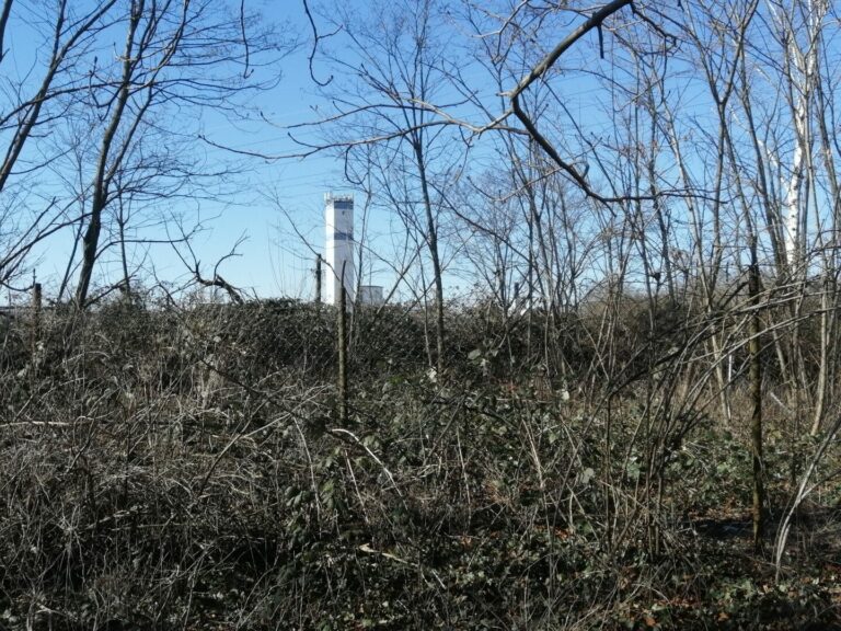 IMG_20220308_141613