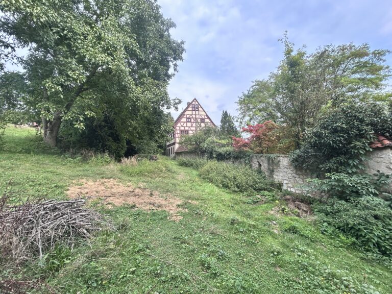 Schloss von der Weide aus