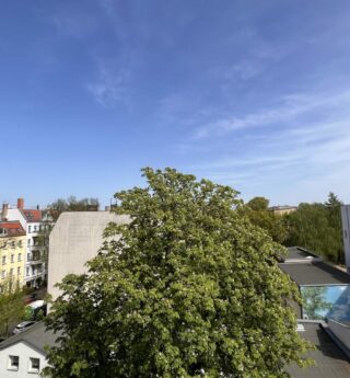 Ausblick