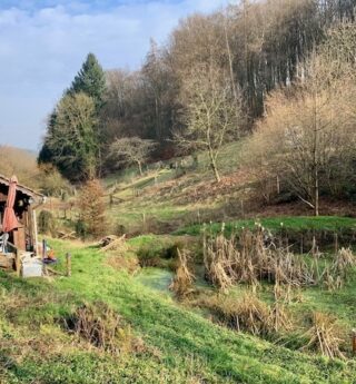 Idylle mit Weitblick