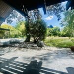 Gartenbereich Mit Pool