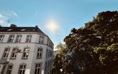 Ausblick