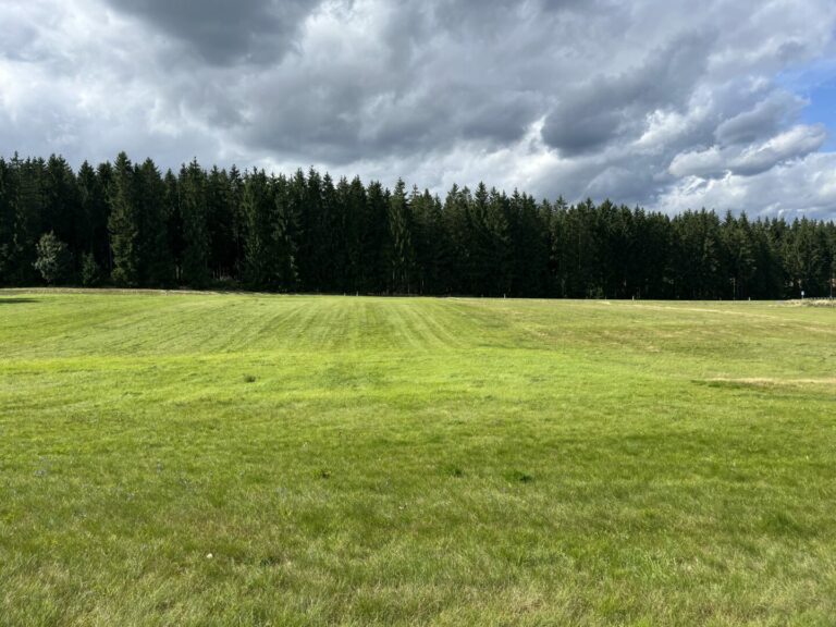 Wiesenfläche