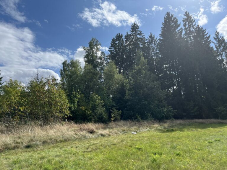 Wäldchen