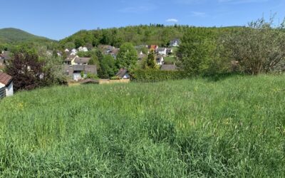 Top-Lage Mit Weitblick