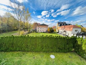 Blick in den Garten