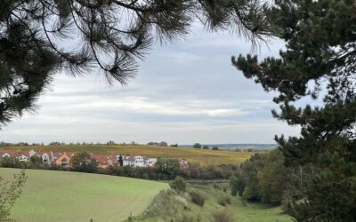 Blick auf Weinberge