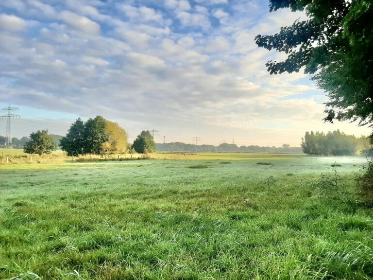 Blick aufs Feld