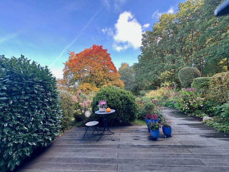 Terrasse vorne