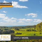 [Cover] Falc-Overlay-Image-%5Btime%5D.jpeg