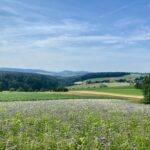 Blick Auf Den Ziegelberg