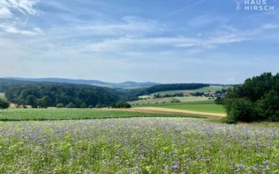 Blick Auf Den Ziegelberg