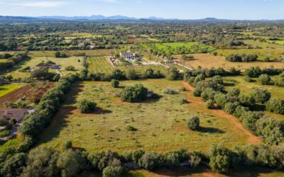 Objekte 4 Anschicht Drohne