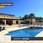 [Cover] Falc-Overlay-Image-%5Btime%5D.jpeg