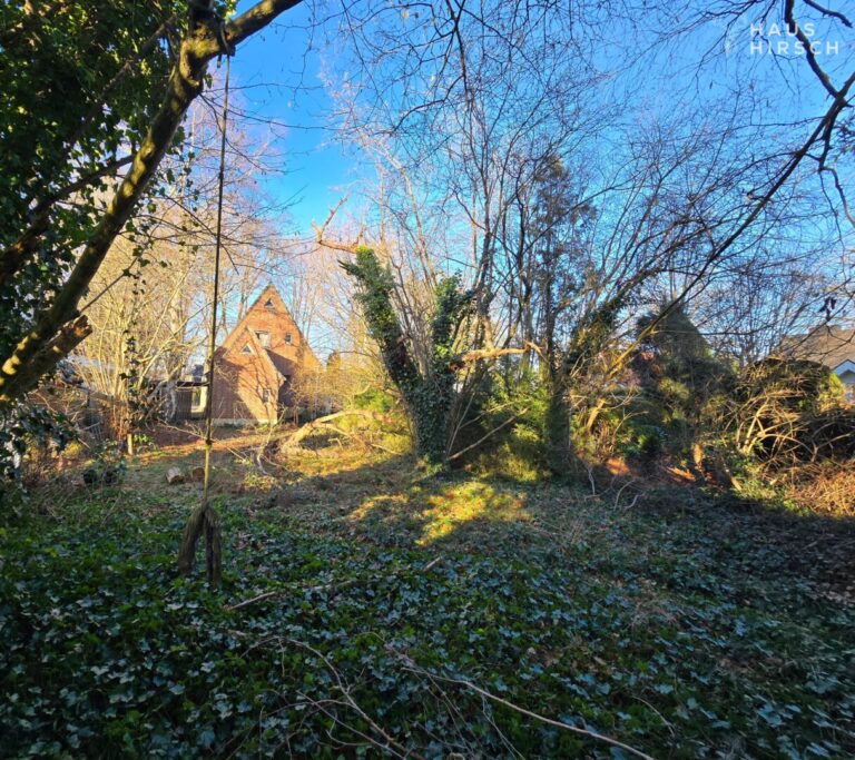 Rückwärtiger Garten