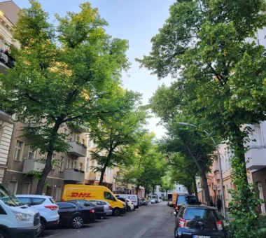 Zufahrtsstraße