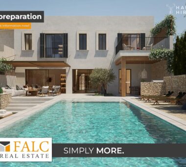 [Cover] Falc-Overlay-Image-%5Btime%5D.jpeg